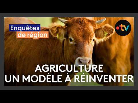 Image YouTube
