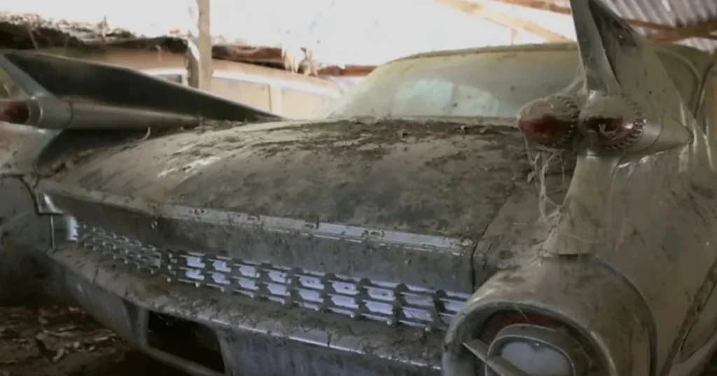 Une somme d’argent « inimaginable » pour une Cadillac de collection trouvée dans une porcherie.