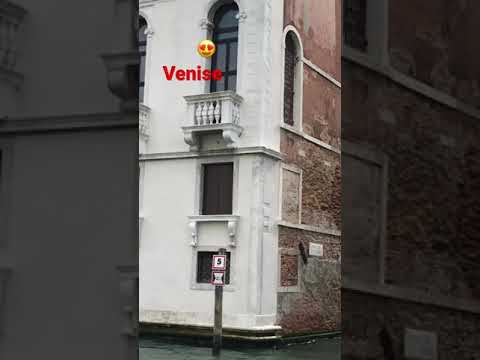 Image YouTube