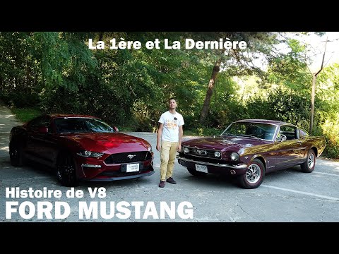 Image YouTube