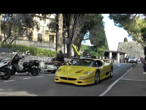 Image YouTube