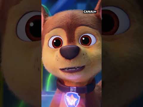 Image YouTube