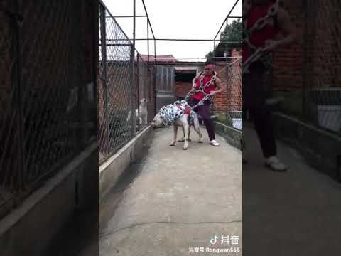Image YouTube
