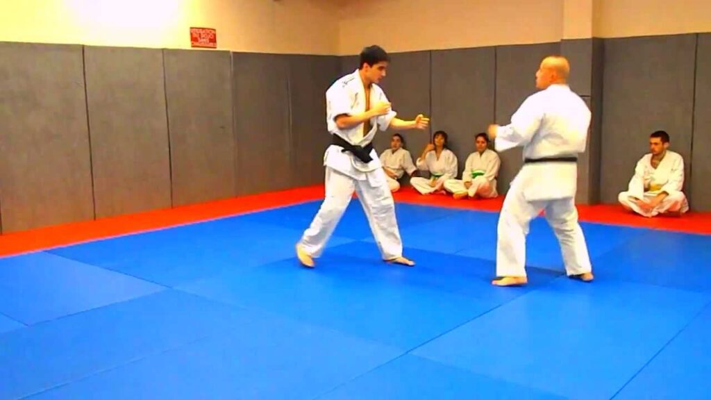 (vitry-sur-seine): RANDORI SELF DEFENSE VITRY SUR SEINE