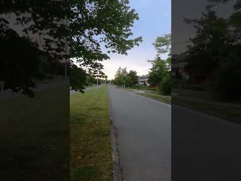 Image YouTube