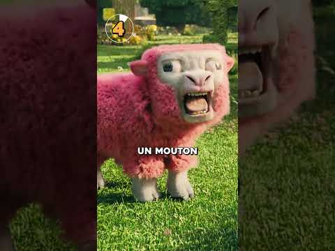 Image YouTube