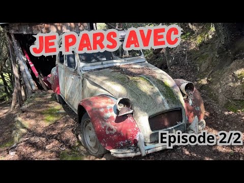 Image YouTube
