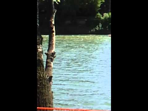 Image Youtube