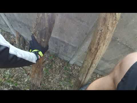 Image YouTube