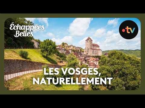 Image YouTube