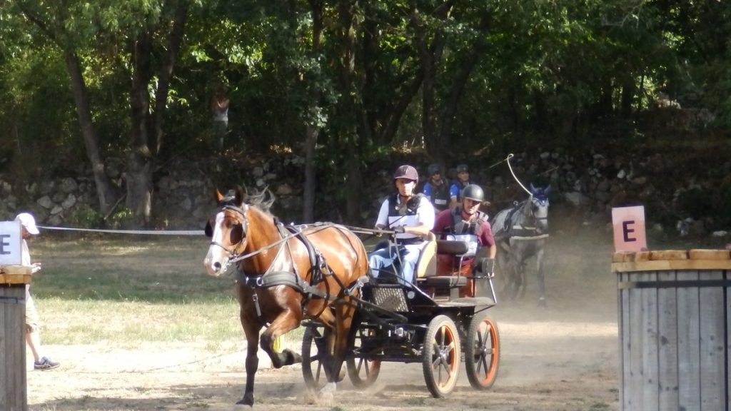 Information: Mercus-Garrabet. Des voitures anciennes pour les chevaux d&rsquo;aujourd&rsquo;hui