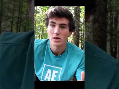 Image YouTube