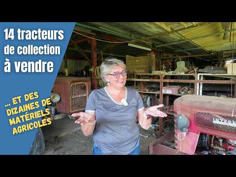Image YouTube