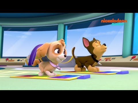 Image YouTube