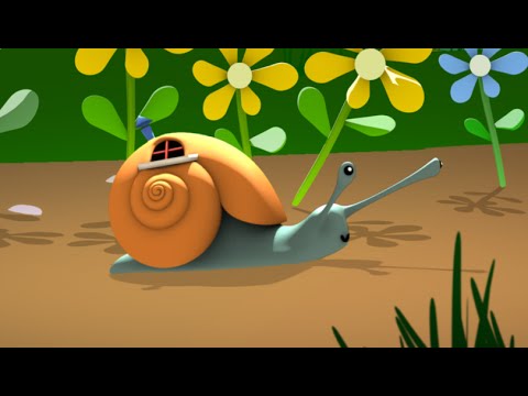 Image YouTube