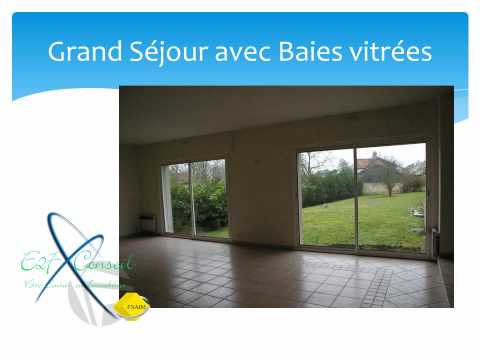 Image YouTube