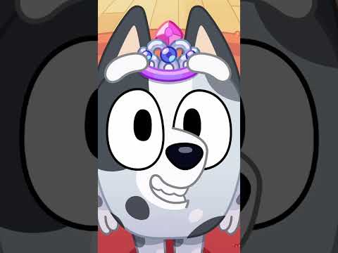 Image YouTube