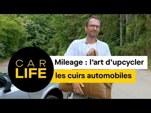 Image YouTube